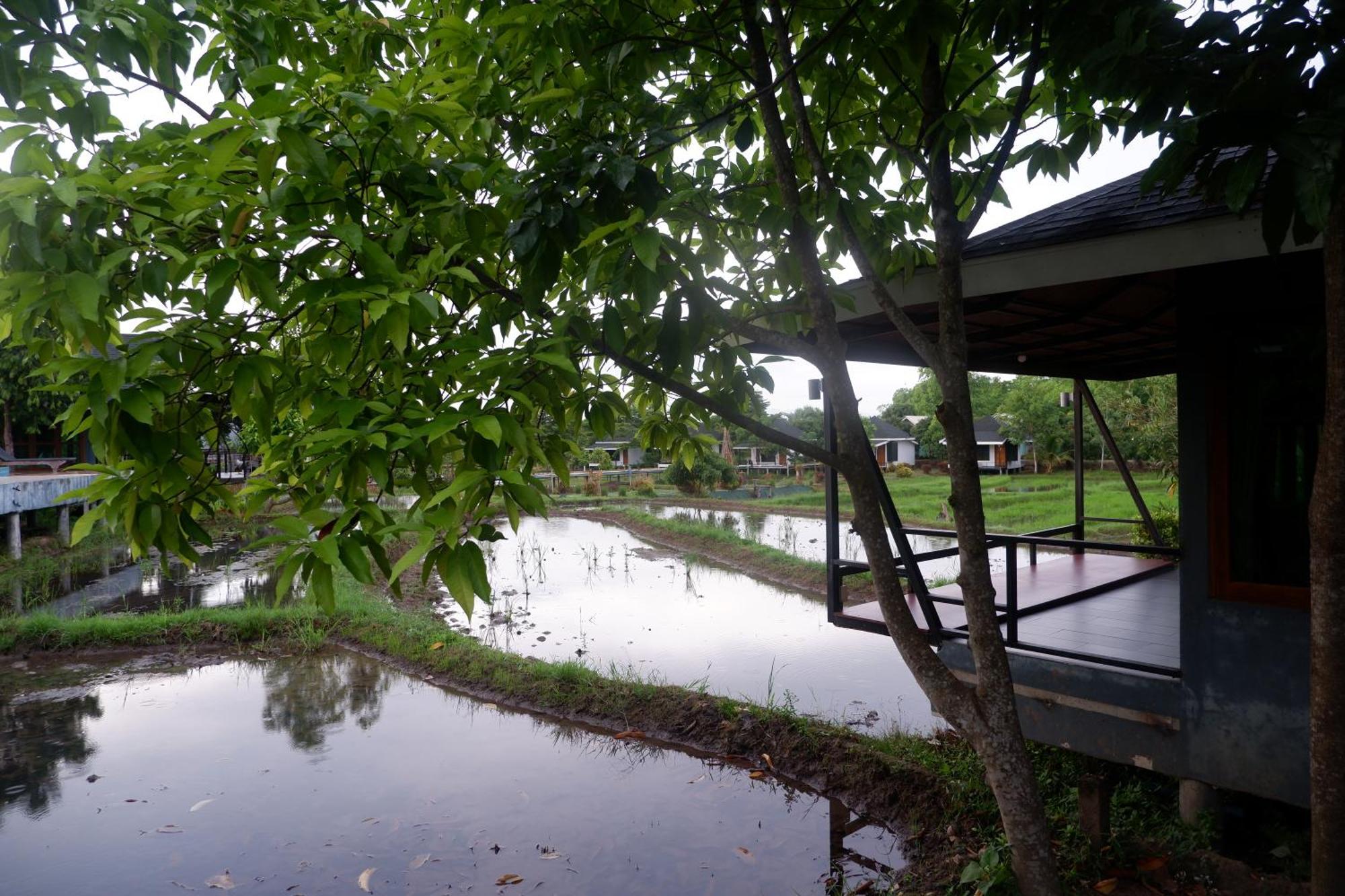 Nok Chan Mee Na Chom Thong Bagian luar foto
