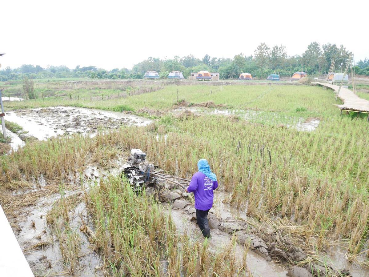 Nok Chan Mee Na Chom Thong Bagian luar foto